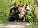 Filename=CIMG1921.JPG
Filesize=546KiB
Dimensions=1728x1296
Date added=May 03, 2014 CIMG1921.JPG