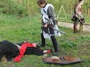 Filename=CIMG2076.JPG
Filesize=488KiB
Dimensions=1728x1296
Date added=May 03, 2014 CIMG2076.JPG