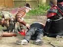 Filename=CIMG2080.JPG
Filesize=460KiB
Dimensions=1728x1296
Date added=May 03, 2014 CIMG2080.JPG