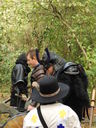 Filename=CIMG3500.JPG
Filesize=619KiB
Dimensions=1536x2048
Date added=Jan 15, 2015 CIMG3500.JPG