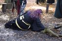 Filename=DSC_4400_28Copy29.JPG
Filesize=167KiB
Dimensions=1024x683
Date added=Jan 14, 2016 DSC_4400_28Copy29.JPG