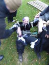Filename=P1000561.JPG
Filesize=464KiB
Dimensions=1536x2048
Date added=Jan 15, 2015 P1000561.JPG