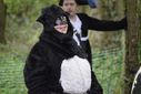 Filename=_DSC4428_28Copy29.JPG
Filesize=99KiB
Dimensions=1024x683
Date added=Apr 29, 2017 _DSC4428_28Copy29.JPG