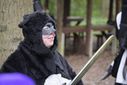 Filename=_DSC4539_28Copy29.JPG
Filesize=97KiB
Dimensions=1024x683
Date added=Apr 29, 2017 _DSC4539_28Copy29.JPG