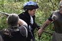 Filename=_DSC4736_28Copy29.JPG
Filesize=152KiB
Dimensions=1024x683
Date added=Apr 29, 2017 _DSC4736_28Copy29.JPG
